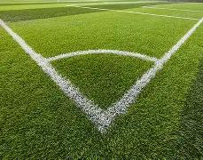 探寻泰山巅,峰荣耀,山东泰山官,乐鱼体育,LeYu,Sports,乐鱼体育网址,乐鱼体育app,乐鱼体育官网,乐鱼体育集团