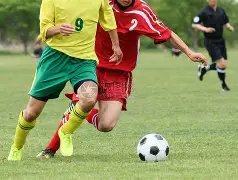 泰山传奇,戴琳泰山生,涯收入惊人,乐鱼体育,LeYu,Sports,乐鱼体育网址,乐鱼体育app,乐鱼体育官网,乐鱼体育集团