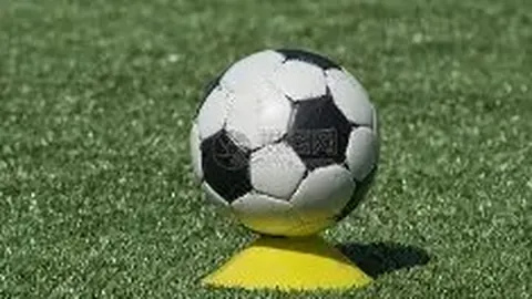 乐鱼体育 资讯 173838 1a5