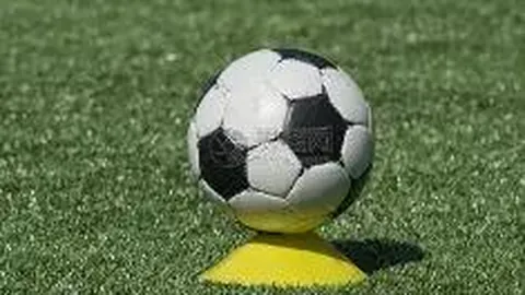 《法甲转会风云再起：维蒂尼亚与内维斯价格飙升，突破亿欧大关，格林伍德值达5000万欧元！》