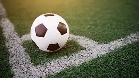 邓雅文：奥运金牌得主，自由闪耀的传奇人物